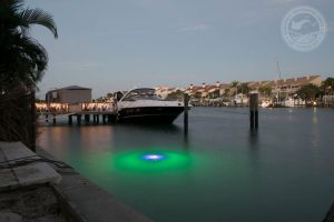 product-apollo-iris-blue-green