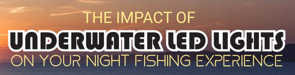 The Impact of Underwater LED Lights On Your Night Fishing Experience - Infograph