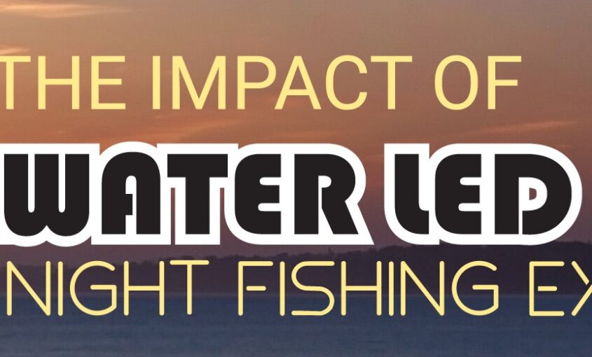 The Impact of Underwater LED Lights On Your Night Fishing Experience - Infograph