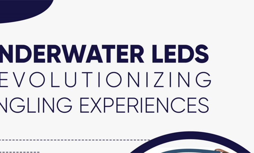 Underwater LEDs Revloutionizing Angling Experiences - Infograph