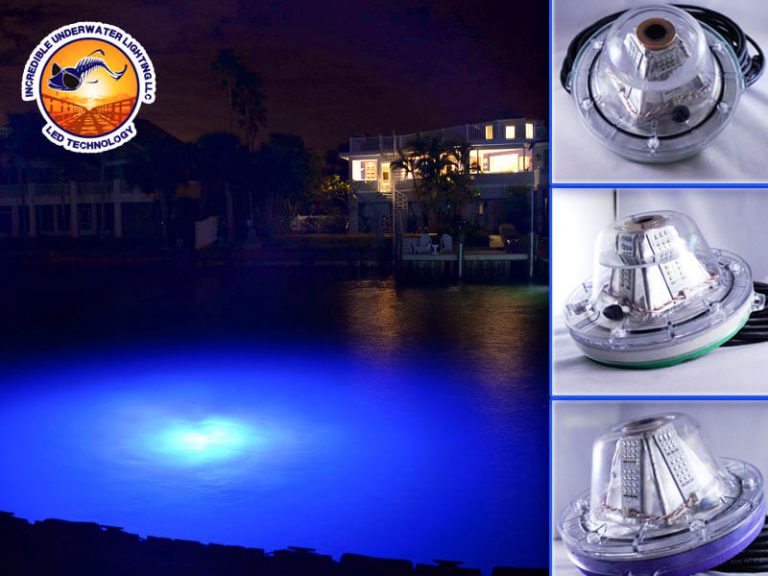 Marine LED lights can steal the show with a spectacular display while attracting fish and other marine life.