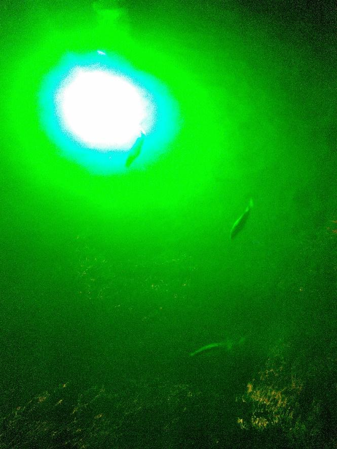 green-underwater-LED-light