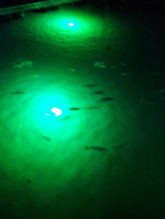 green underwater LED light