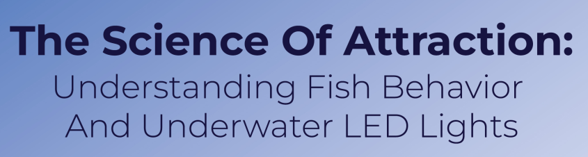 The Science Of Attraction: Understanding Fish Behavior And Underwater LED Lights - Infograph