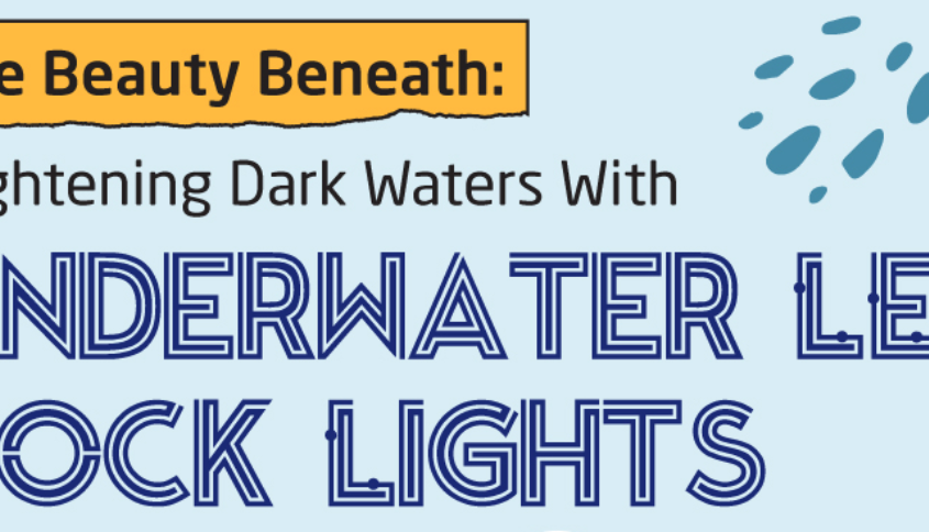 The Beauty Beneath Brightening Dark Waters With Underwater LED Dock Lights