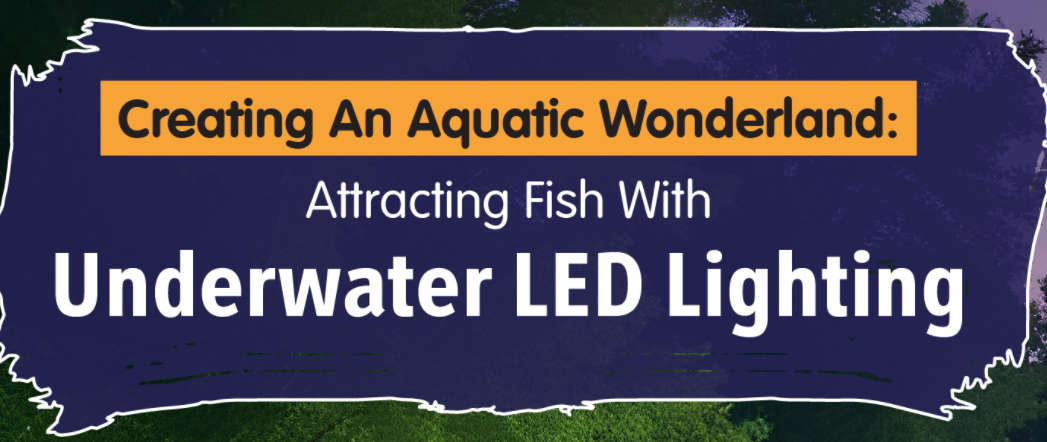 Creating an Aquatic Wonderland Attracting Fish with LED Lighting