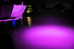 Purple MLH