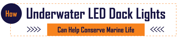 Sustainable Fishing Practices: How Underwater LED Dock Lights Can Help Conserve Marine Life