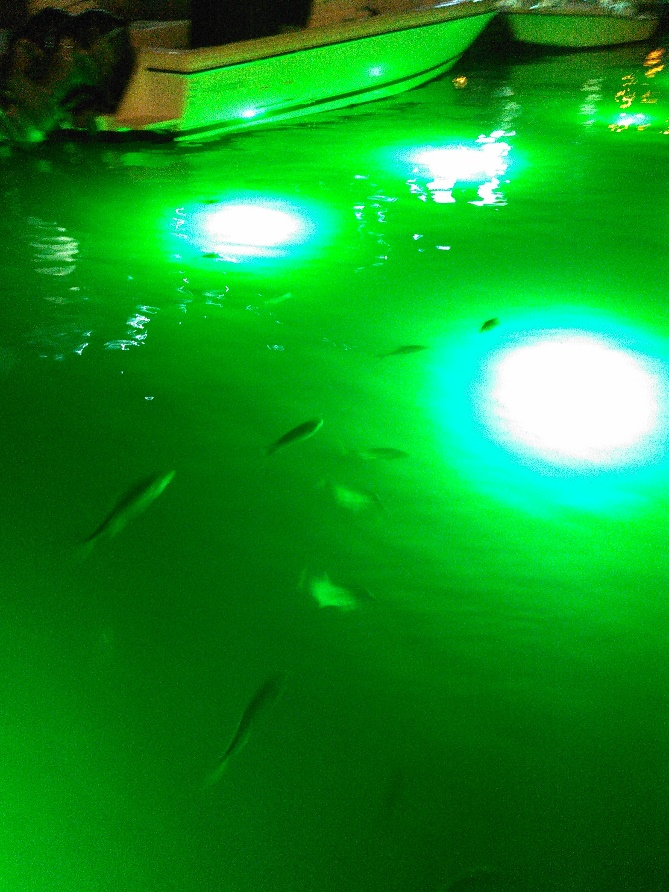 green underwater LED light