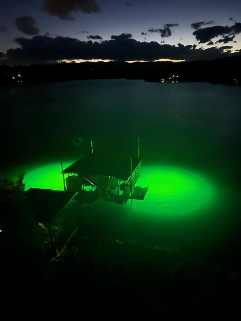 Green underwater dock lights attracting fish beneath a dock.