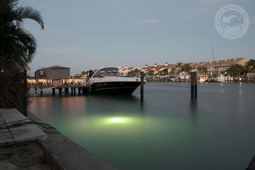 A green underwater LED light.