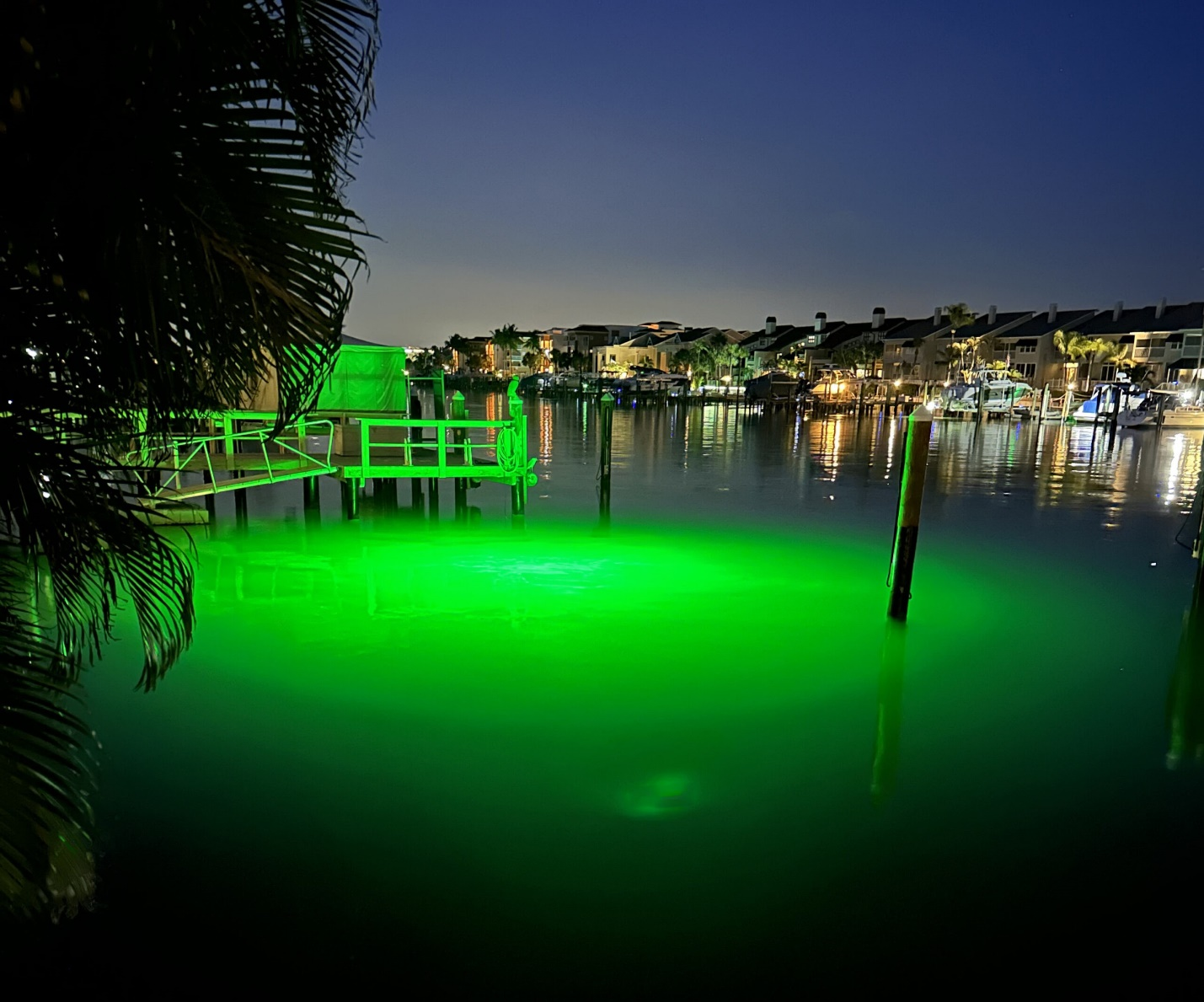 A green-colored dock light underwater.