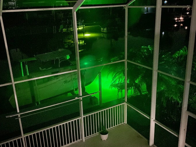 A green-colored underwater LED lighting.