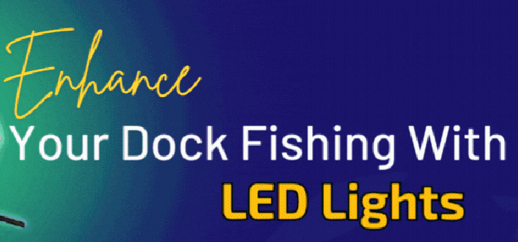 Enhance Your Dock Fishing with LED Lights