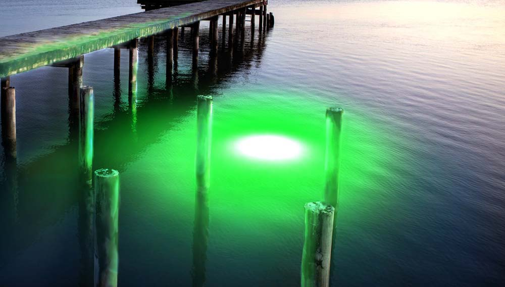 A dock next to green light illuminated in the water