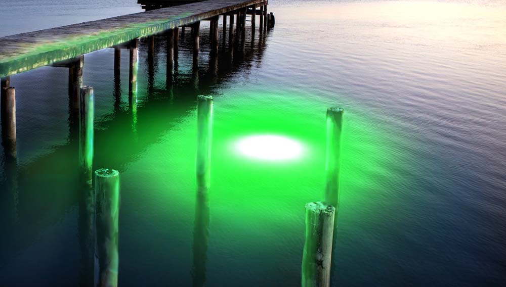A green and white colored light underwater.