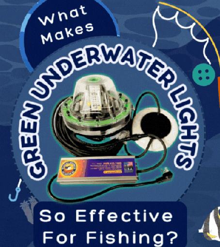 What Makes Green Underwater Lights So Effective For Fishing?