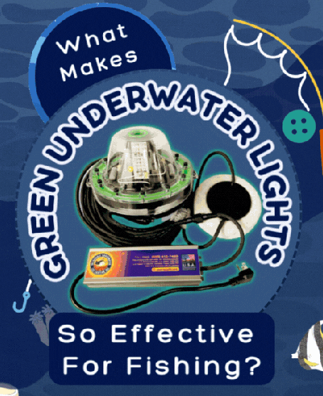 What Makes Green Underwater Lights So Effective For Fishing?