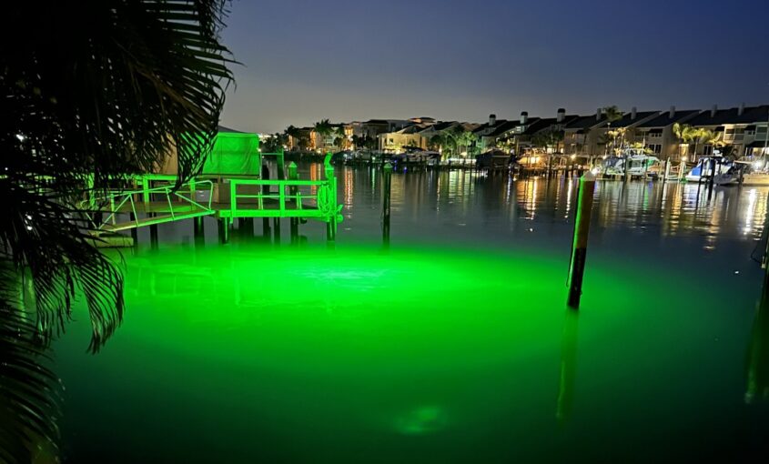 A green colored waterbody with the help of underwater LED Lights.