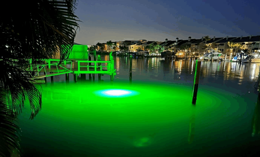 A green LED next to a dock area.