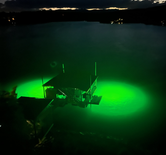 water illuminated by underwater lights