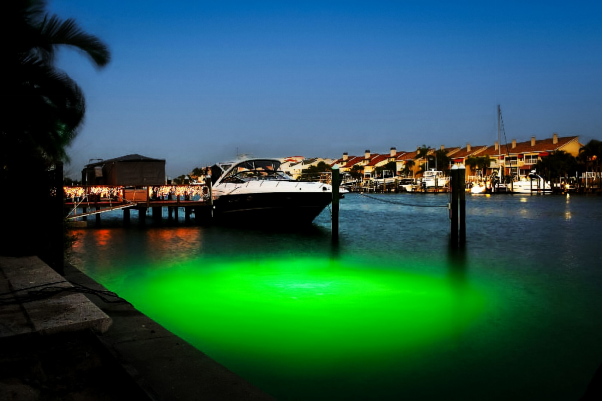 water illuminated by green lights