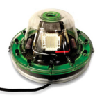 A green colored underwater LED light.