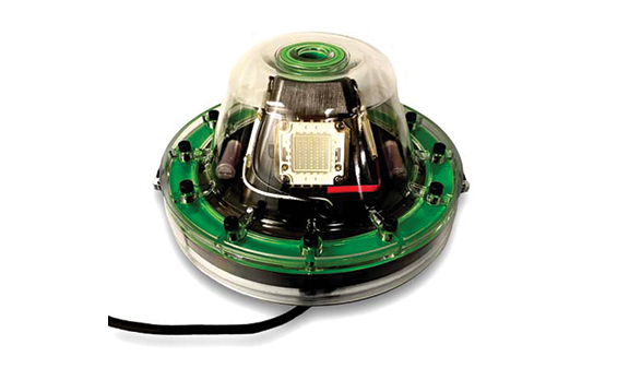 A green colored underwater LED light.