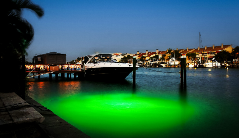 A green underwater LED light. 