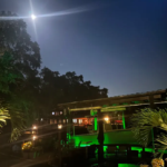 A green colored underwater LED light placed at a seaside property.