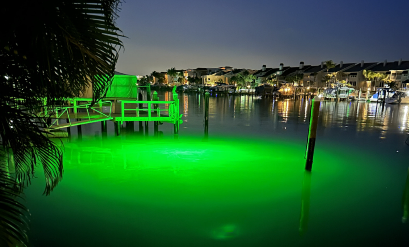 A pond with a green colored underwater LED light.
