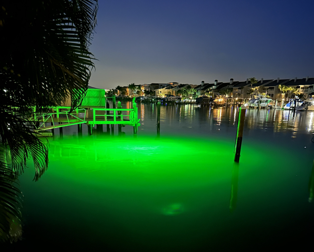 A pond with a green colored underwater LED light.
