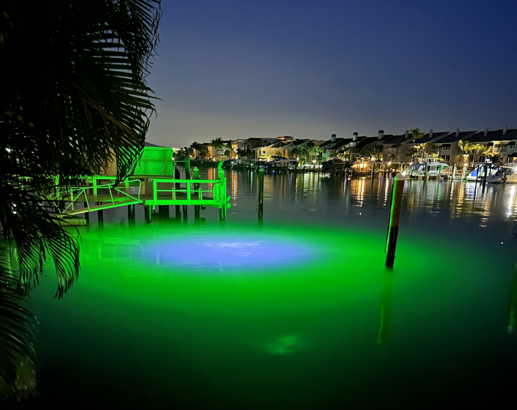 A green colored underwater LED light.